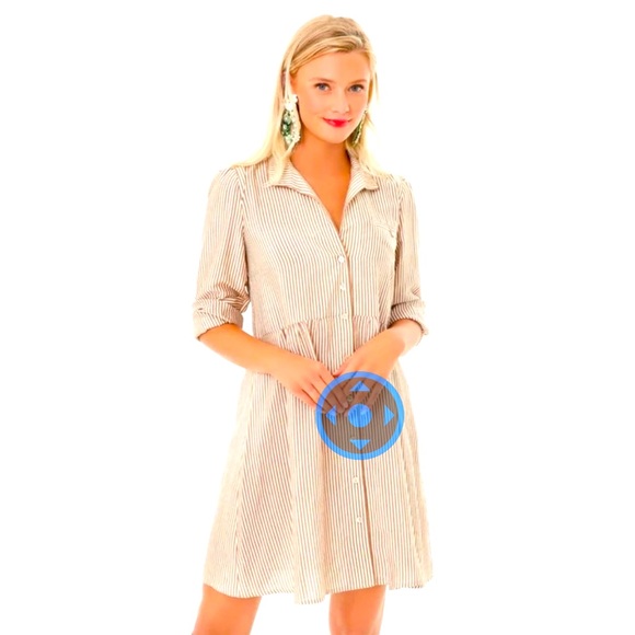 Tuckernuck Dresses & Skirts - Tuckernuck *unicorn dress! Very hard to find! Brown and white stripes.